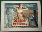 Warm Nights Hot Pleasures